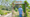 A Guide to Living in San Antonio (May 15th - May 21st)